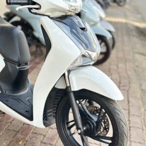 Sh 2019 Bỏ Mẫu Sh 2019 Spoty Trắng Đen
