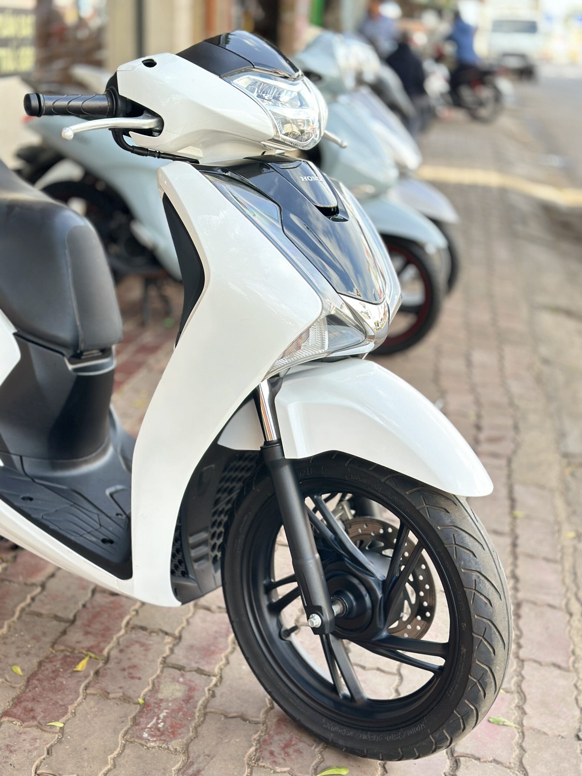 Sh 2019 Bỏ Mẫu Sh 2019 Spoty Trắng Đen